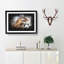 Hawk - Picture Frame Graphic Art Print-56863367-56863368