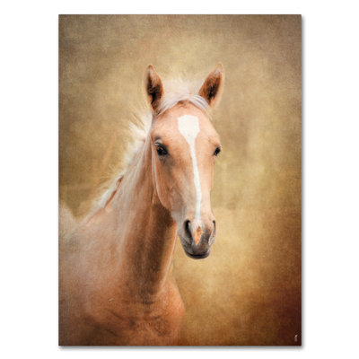 «Golden Girl Palomino Horse» de Vidur, impression sur toile tendue