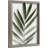 Wall Decoration Plant Art