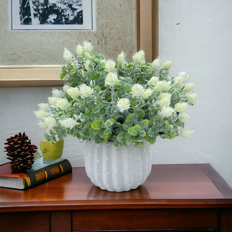 Arrangement de bébé en pot, Crème