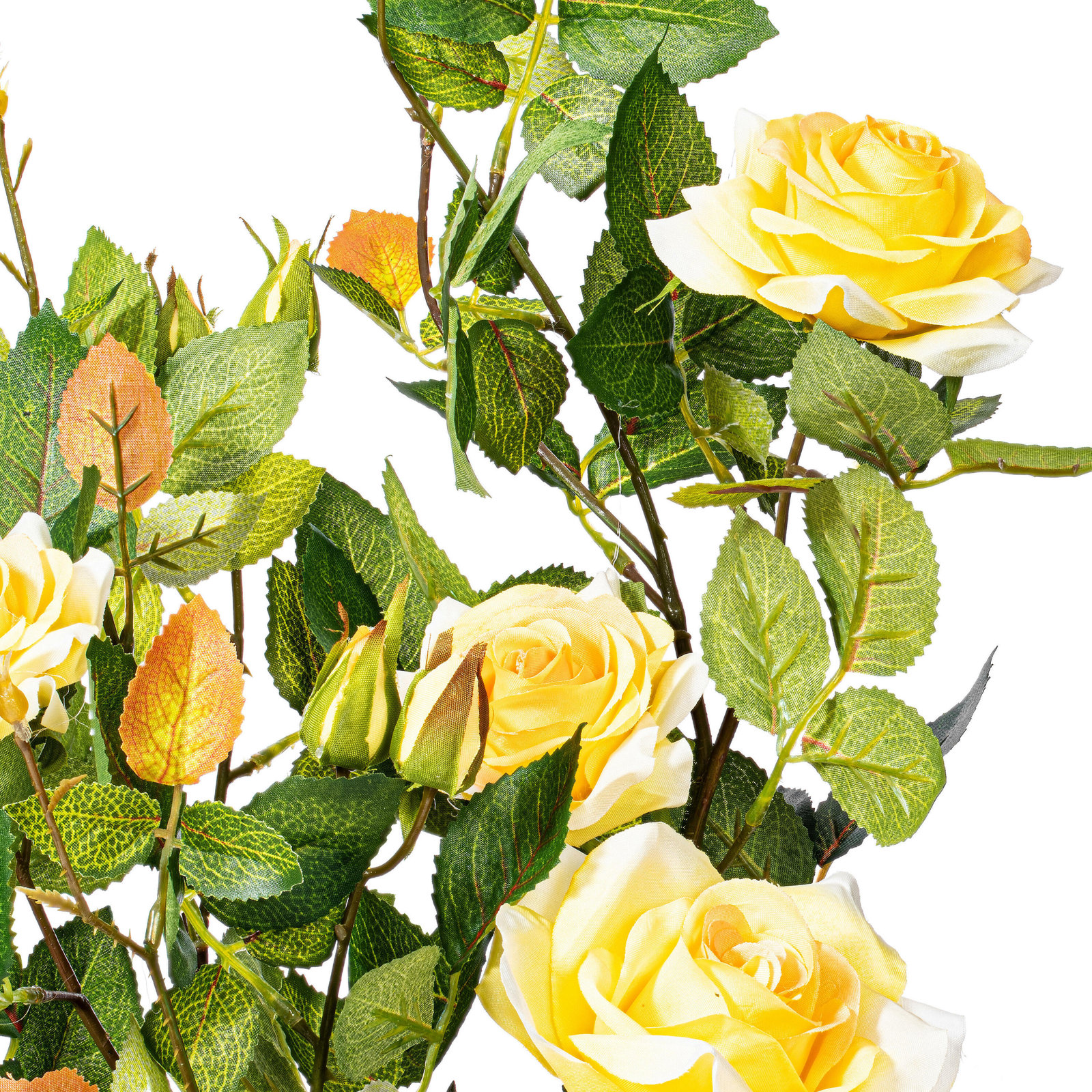 21" Rose Plant in Pot, Yellow