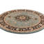 Belliere Medallion Kashan Light Blue Traditional Rug-21350722