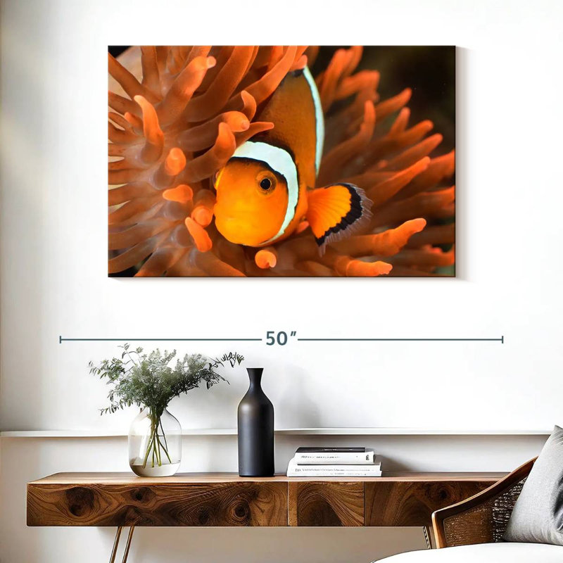 Brampt Orange Clownfish, 26" H x 39" W
