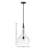 Ziggy 23" Single Light Teardrop Pendant w/ Clear Glass-67232168