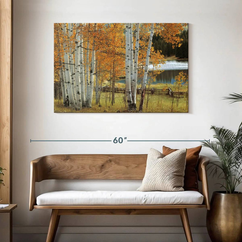 Birch Beauty, H 30 po x l 45 po