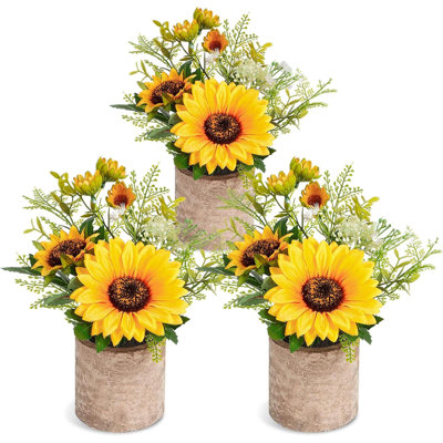 11,8 Plante