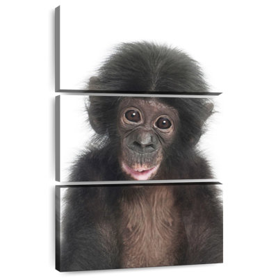 Brampt Baby Monkey