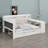 All-in-One Sleep and Study Daybed with Upholstered Backrest, Bookcase, Pull-Out Guest Bed, Power Hub, and Ambient LED Strips-134013213