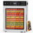12-Tray Stainless Steel Food Dehydrator, 800W Dual Fan, Digital Timer & Temperature Control, Large Capacity Dehydrator With Glass Door For Jerky, Fruit, Herbs & Pet Treats