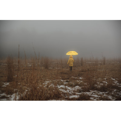 Little Girl Crossing The Field in Fog by Alex Potemkin