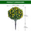 Arrangement-219755243