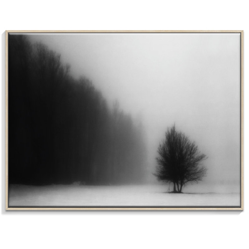 Print on Canvas, 41cm H x 51cm W, Timber Floater Frame