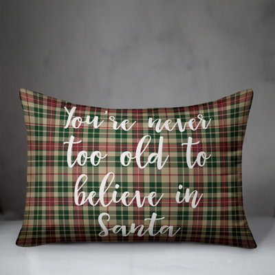 Plaid Throw Pillow