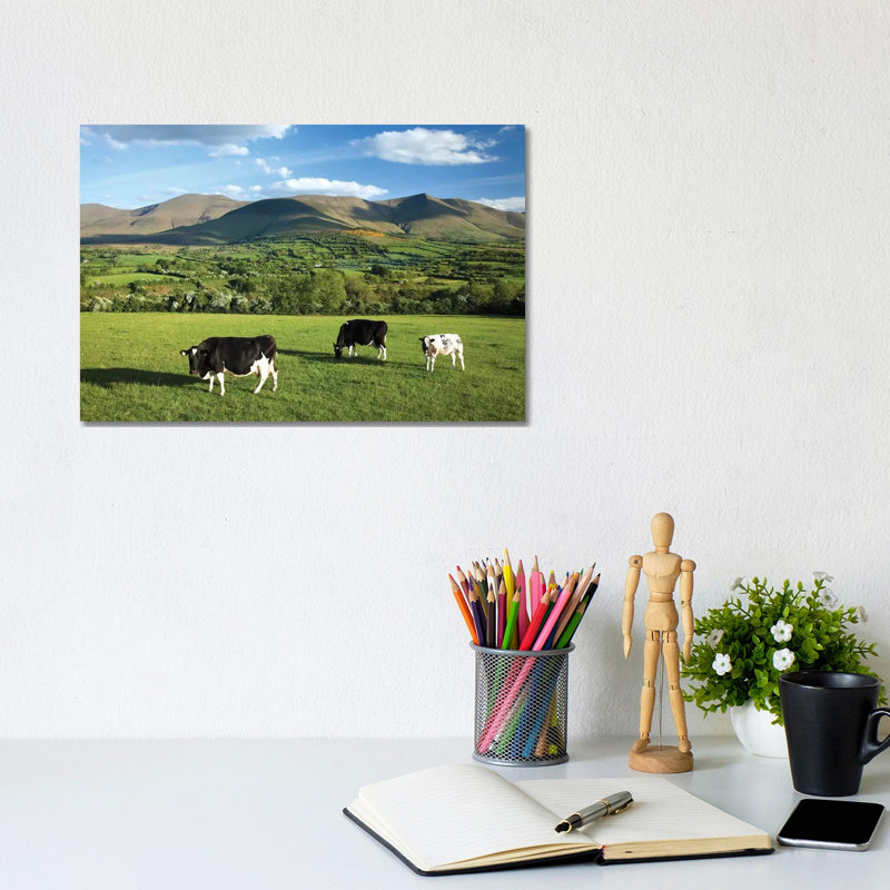 Cows Grazing In The Glen Of Aherlow, Galtee Mountains, County Tipperary, Ireland by Gareth McCormack - Wrapped Canvas Print
