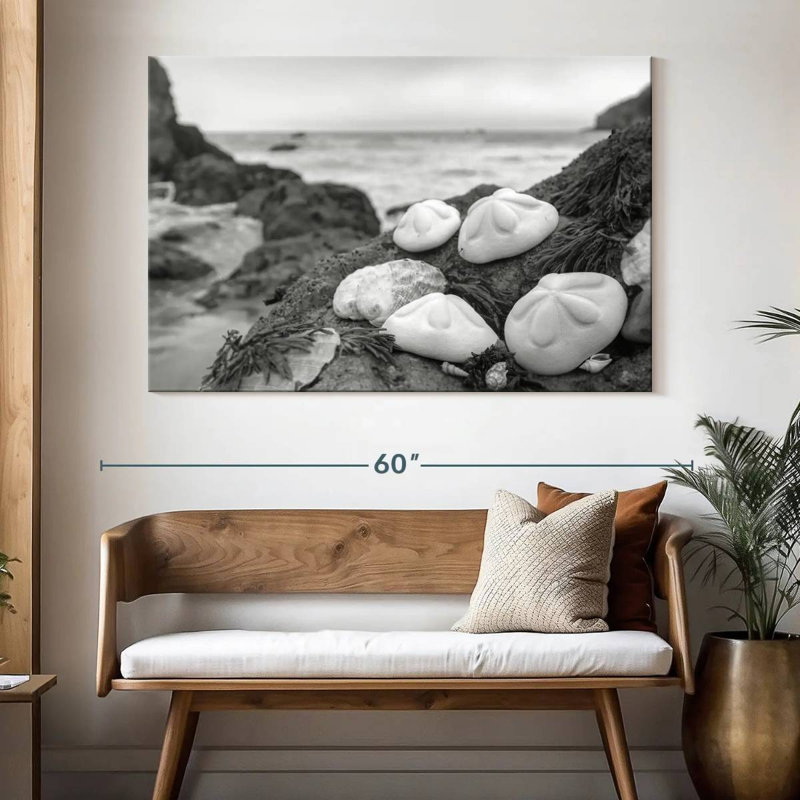 White Crescent Beach Shells IV, 34" H x 51" W
