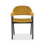 Upholstered Back Armchair-92158720
