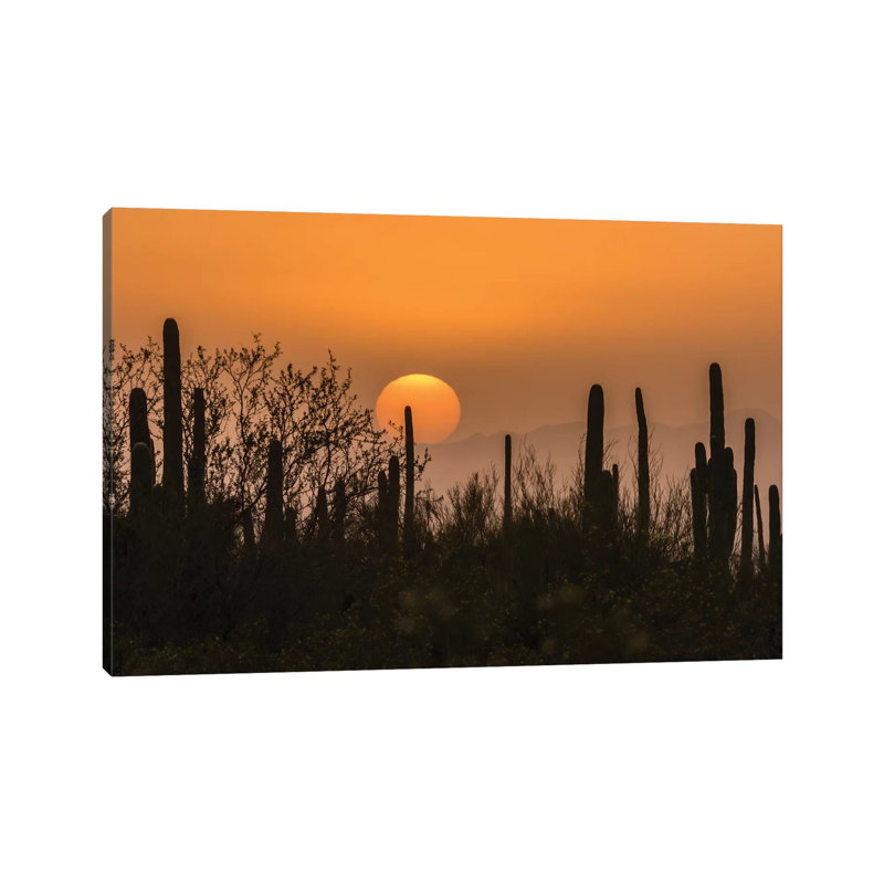 USA, Arizona, Saguaro National Park. Saguaro cactus at sunset. 1 Piece Wrapped Canvas Wall Art