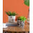 Arbutus Pot Planter