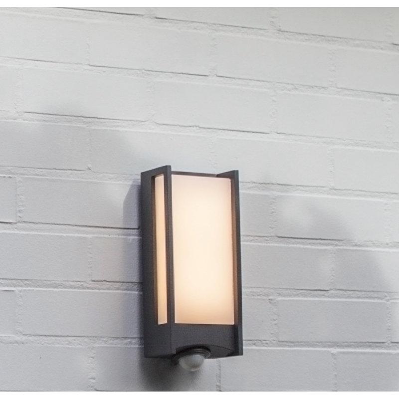 Vahram 1-Light LED Wall Spotlight