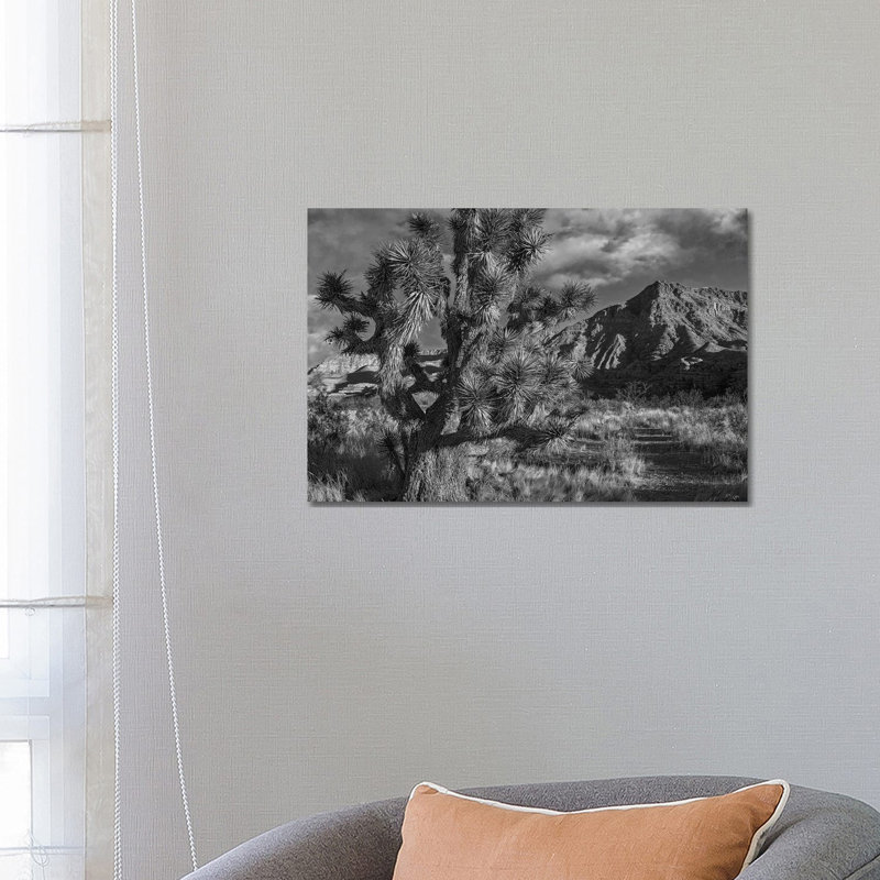 Joshua Tree And The Virgin Mountains, Arizona by Tim Fitzharris - Gallery-Wrapped Canvas Giclée on Canvas, No Frame