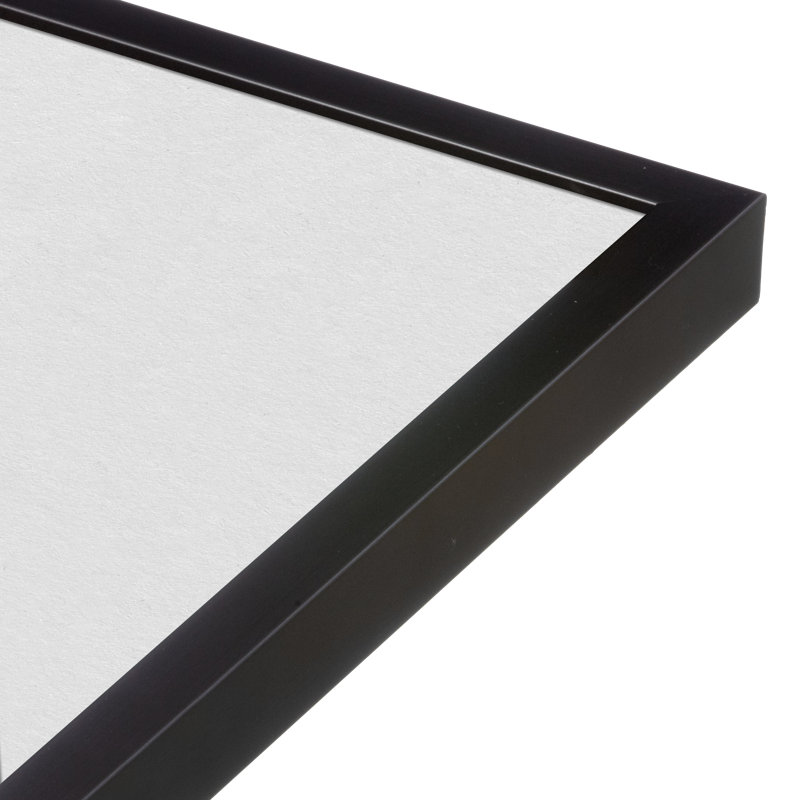 Capullo Wood Matte Picture Frame with Mat, 24" x 36", 20" x 30", Black
