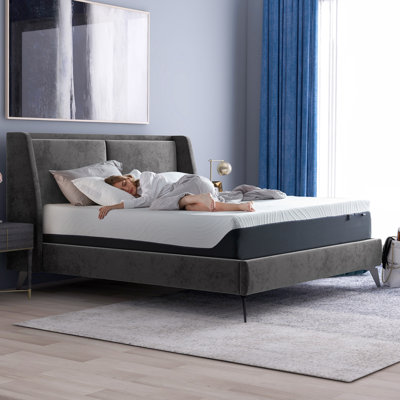 Alwyn Home Meghan 10'' Gel Memory Foam Mattress
