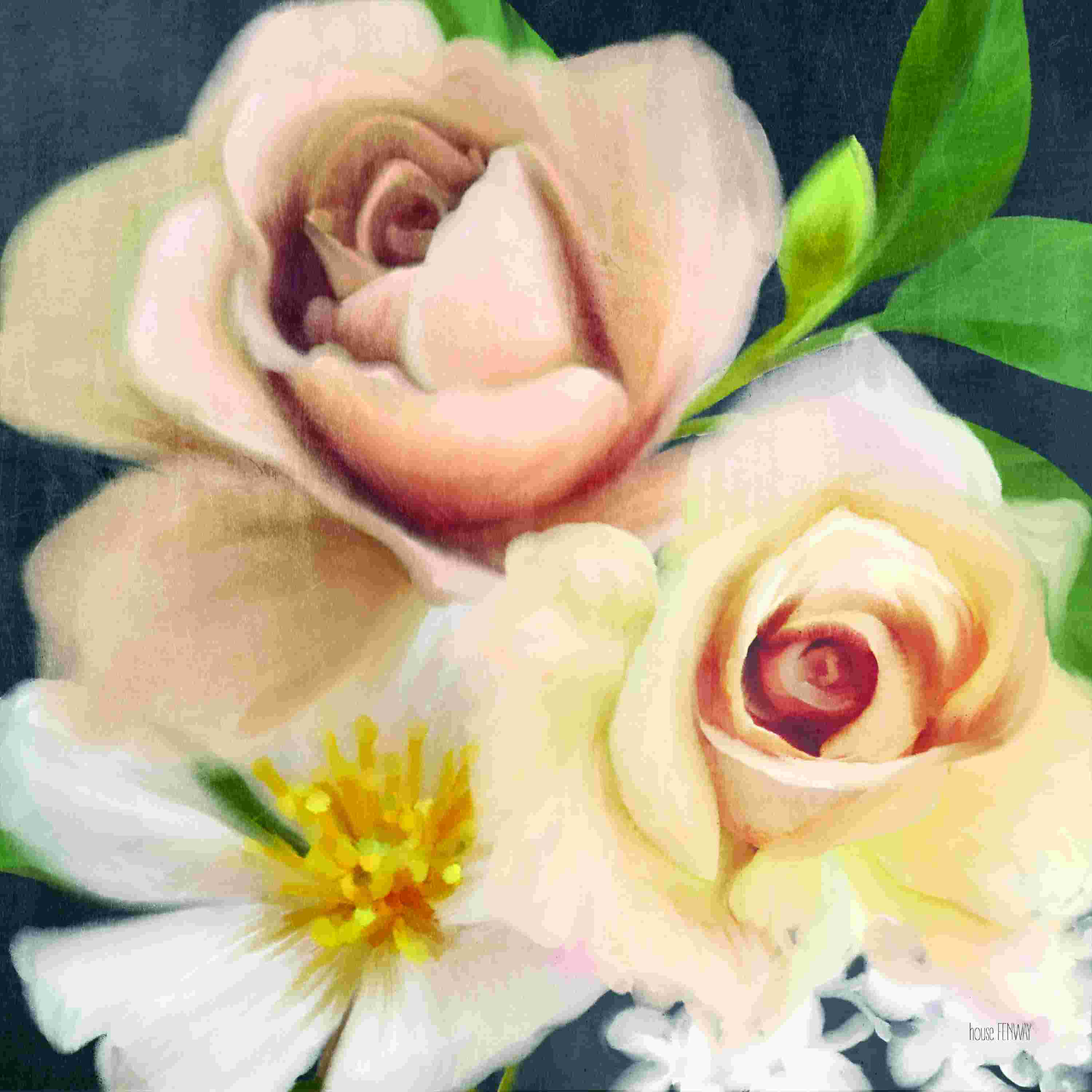 House of Hampton Bold Roses - Wayfair Canada