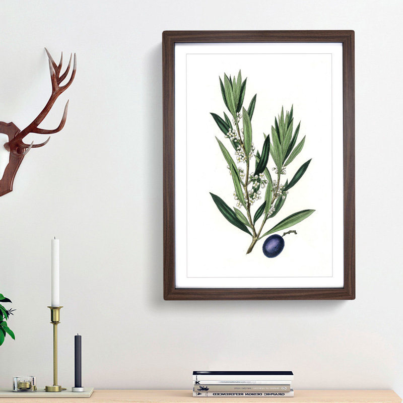 Olive Tree Flowers Illustration - Picture Frame Painting Print, Walnut Framed, 36cm H x 27cm W x 2cm D