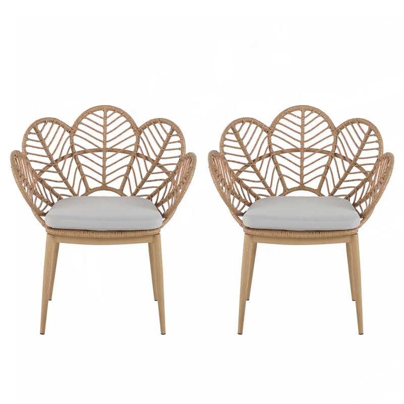 Chaise d'extérieur en forme de paon en osier, faux rotin, ensemble de 2
