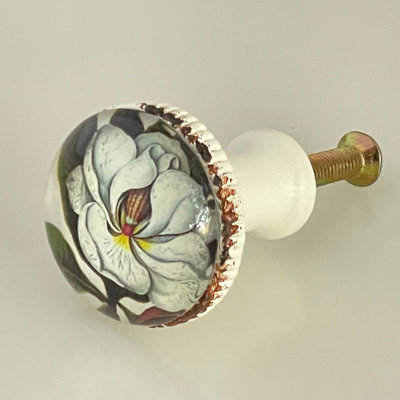 Bouton de style magnolia en étain blanchi Southern Style (ensemble de 4)
