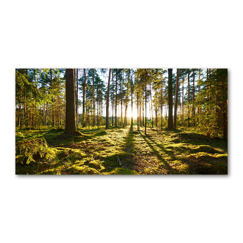 A Pine Forest - No Frame Print on Canvas