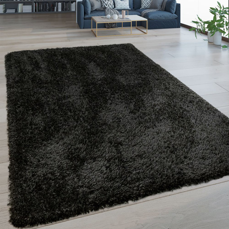 Sammie Solid Colour Shag Area Rug