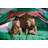 Pacific Play Tents 54'' W x 74'' D Indoor / Outdoor Mesh Play Tent