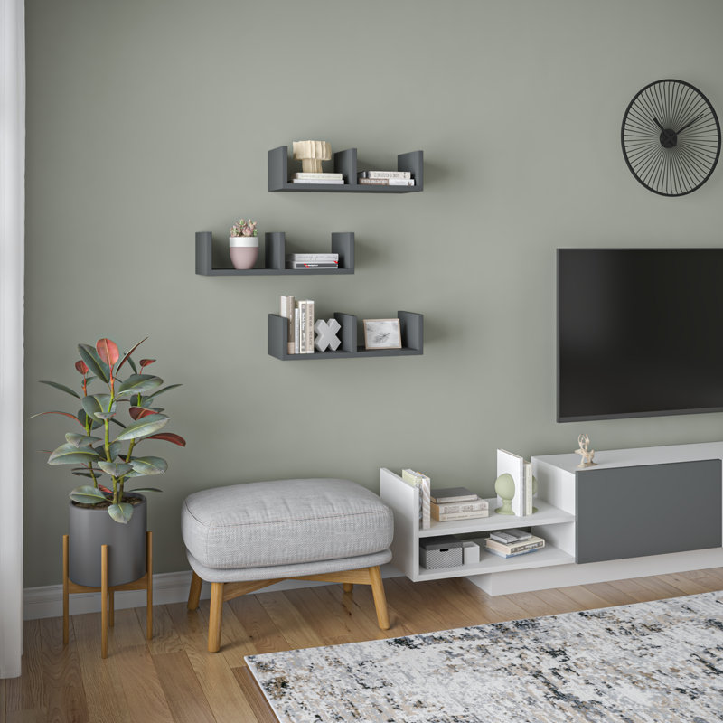 Ayrionna 3 Piece Floating Shelf, Anthracite