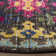 Isabea Performance Oriental Rug