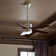 Bhram 48'' Ceiling Fan with LED Lights