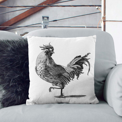 Square Cushion