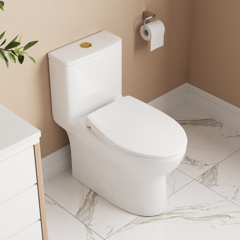 Ally Dual-Flush Elongated One-Piece Toilet with Glazed Surface Modern Toilet with Comfort Seat Height  (Seat Included), 12"