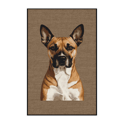  Tapis lavable pour chien Podengo