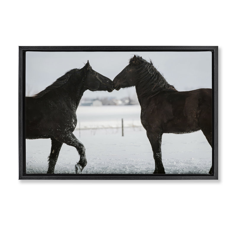 Cadre flottant Winter Horse, conçu par Amy Carroll, H 17 po x l 25 po, Cadre flottant noir de jais