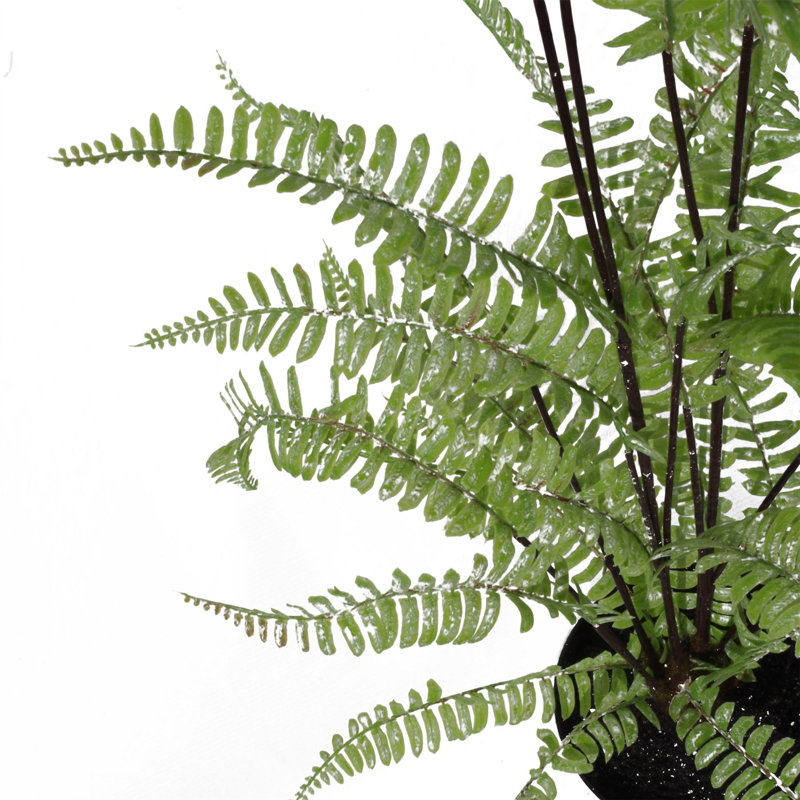 177.8cm Faux Fern Plant in Pot Liner, 70cm H x 50cm W x 50cm D