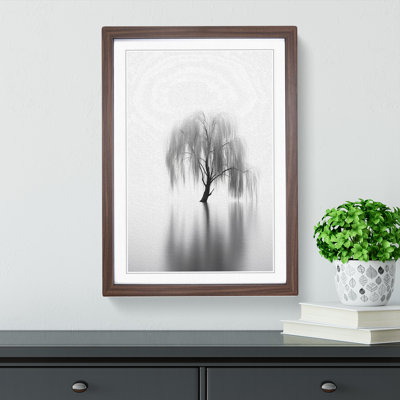 Weeping Willow Minimalism - Framed Print