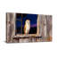 Animaux, hibou, fenêtre, bois rustique, ciel nocturne-562404776