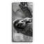 «Sloth Swing», reproduction sur toile tendue-893417244