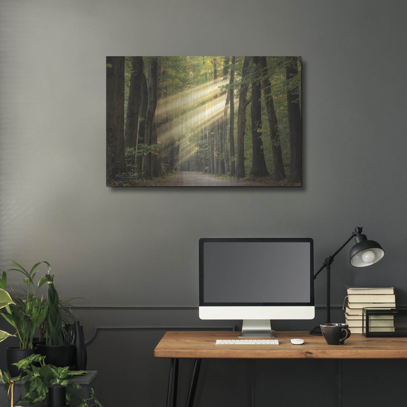 "Rayzor Light" par Martin Podt, H 24 po x l 36 po