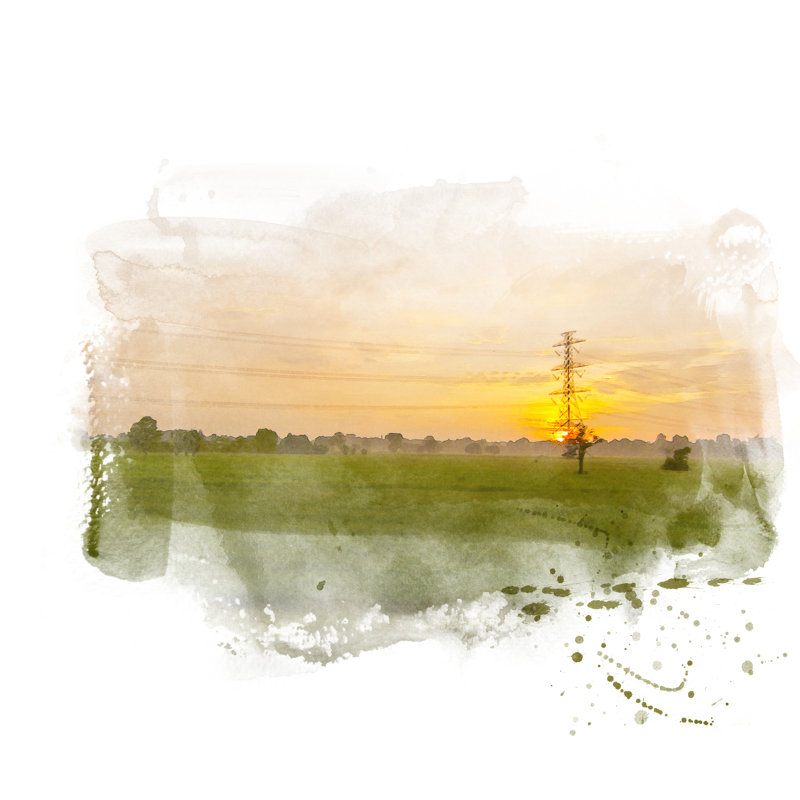 Green Rice Field - Wrapped Canvas Painting, 30cm H x 30cm W x 3.8cm D