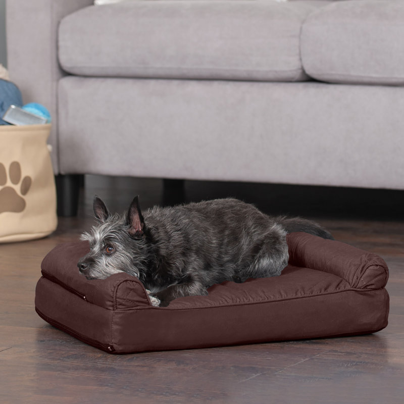 Orthopedic Polyester Pet Bed, Medium (30" W x 20" D x 6" H), Coffee