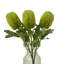 Arrangement-111171204