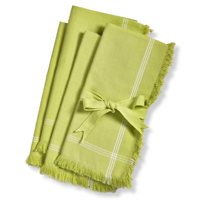 Border Stripe Napkin S/4