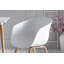 Abinaton Dining Chair-2094804951